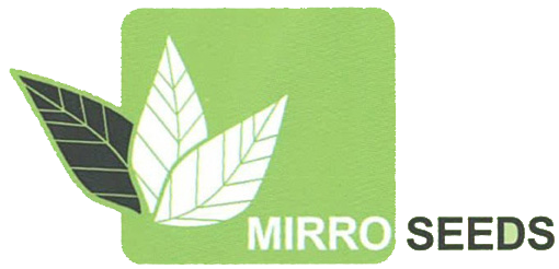 MirroSeeds