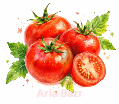 بذر گوجه‌فرنگی